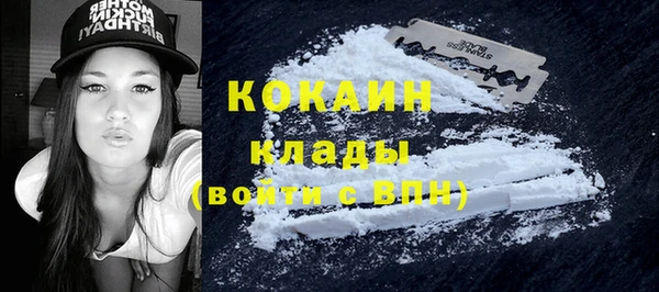 apvp Белокуриха