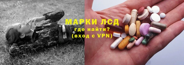 индика Беломорск